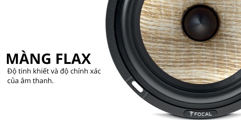 loa nghe nhac hi fi focal 300 icw8