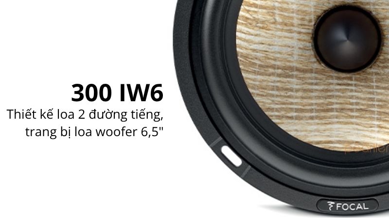 loa focal 300 iwlcr6