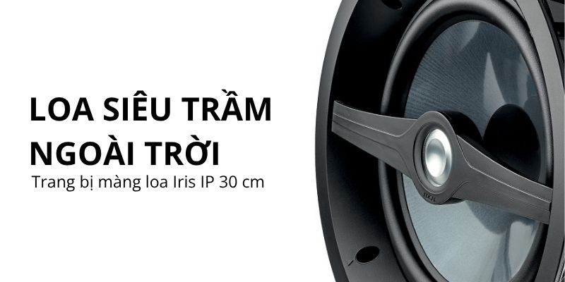 loa subwoofer san vuon focal od sub 12 (2)
