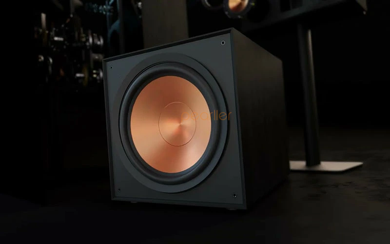 loa karaoke gia dinh Klipsch R 101SW 2