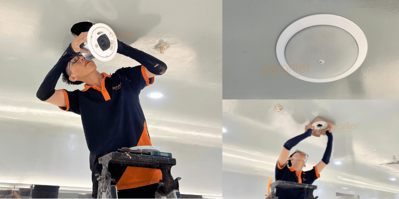 4loa am tran phong hop