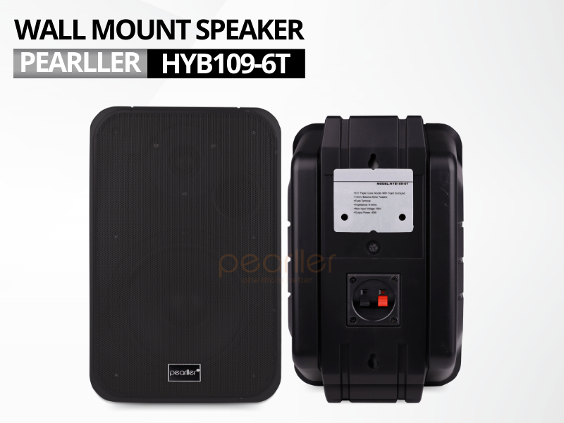 2loa treo tuong pearller hyb109 6t