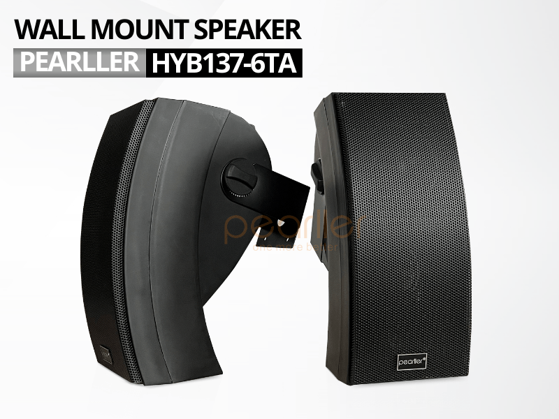 2loa treo tuong pearller hyb145t