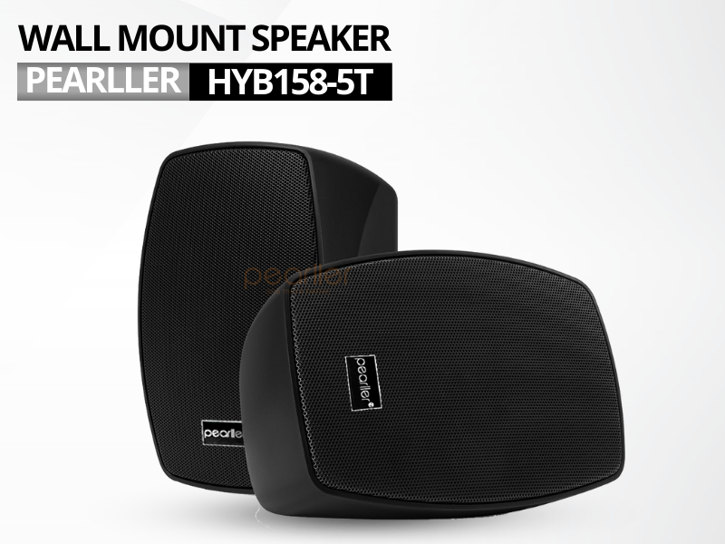 2loa treo tuong pearller hyb158 5t