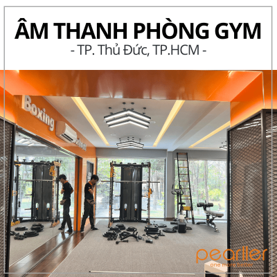 lap-dat-am-thanh-phong-gym-tai-tp-hcm