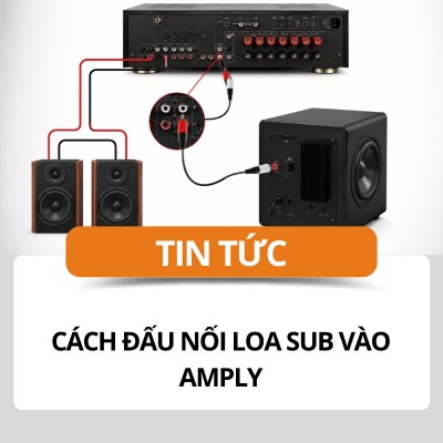 Cách Đấu Loa Sub Vào Amply Đúng Kỹ Thuật | Hướng Dẫn Chi Tiết