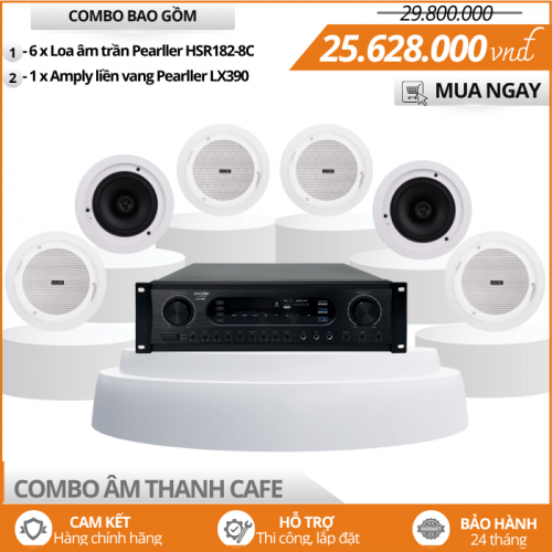 Bộ Loa Nghe Nhạc Nhẹ Nhàng Cho Quán Cafe HSR182-8C