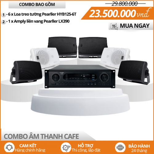 Bộ Loa Treo Tường Cao Cấp Cho Quán Cafe HYB125-6T