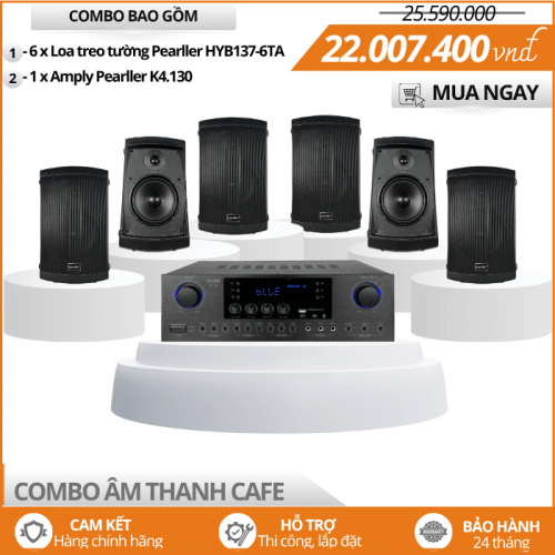 Bộ Loa Treo Ngoài Trời Cho Quán Cafe HYB137-6TA
