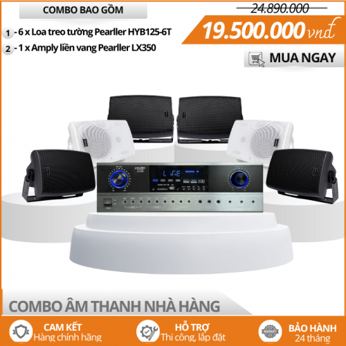 Hệ thống âm thanh cho nhà hàng loa treo tường HYB125-6T