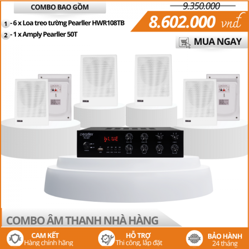 Bộ Loa Nghe Nhạc Hiện Đại Cho Nhà Hàng HWR108TB