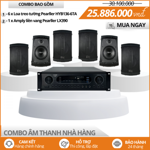 Bộ Loa Sân Vườn Cho Nhà Hàng HYB137-6TA
