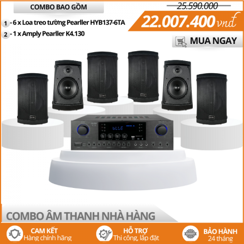 Bộ Loa Sân Vườn Ngoài Trời Cho Nhà Hàng HYB137-6TA
