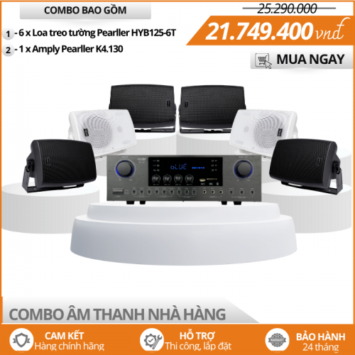 Bộ Loa Treo Tường Nghe Nhạc Cho Nhà Hàng Pearller HSR125-6T
