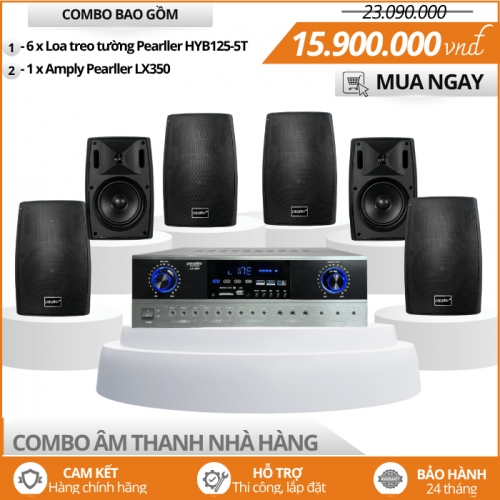 Hệ thống âm thanh cho nhà hàng - Bộ 6 loa treo tường HYB125-5T