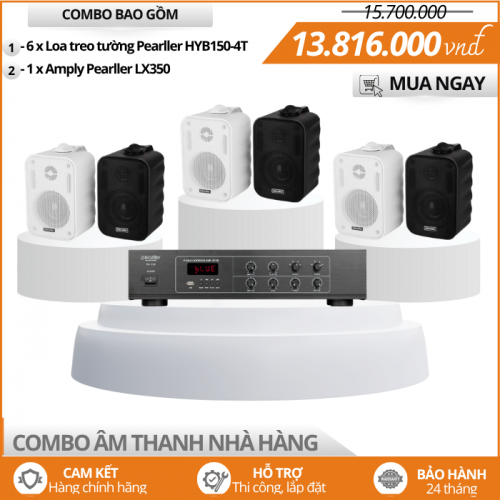 Loa Mini Treo Tường Cho Nhà Hàng HYB150-4T