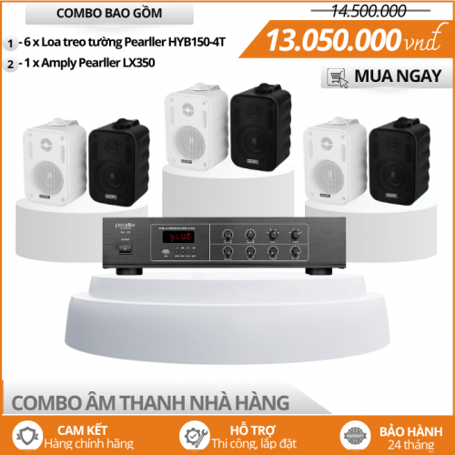 Loa Mini Treo Tường Cho Nhà Hàng Pearller HYB150-rT