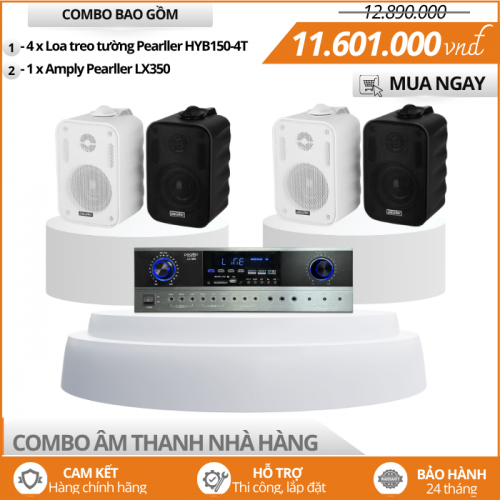 Loa Mini Treo Tường Nhà Hàng Pearller HYB150-4T