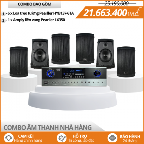 Bộ Loa Nghe Nhạc Sân Vườn Cho Nhà Hàng HYB137-6TA