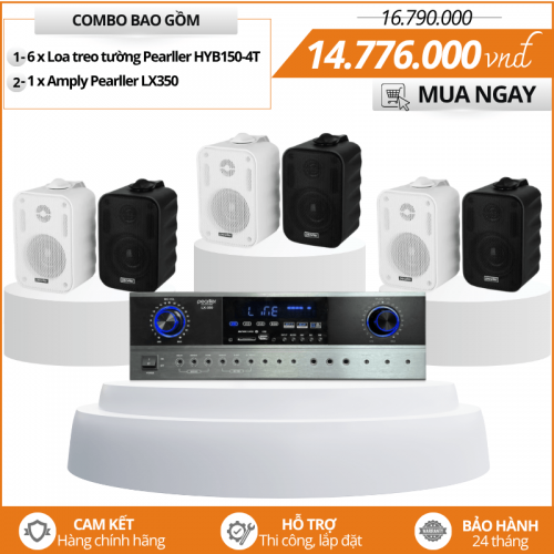 Bộ Loa Treo Tường Giá Rẻ