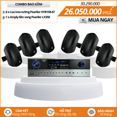 Bộ loa treo tường ngoài trời HYB158-6T