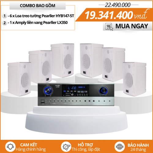 Bộ Loa Treo Tường Nhỏ Gọn