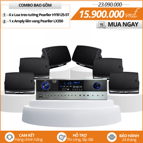 Dàn Loa Treo Tường Nhỏ Gọn