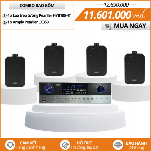 Mẫu Loa Treo Tường Mini