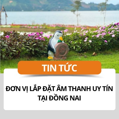 Đơn vị lắp đặt âm thanh uy tín tại Đồng Nai