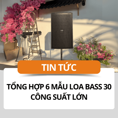 Tổng hợp 6 mẫu loa Bass 30 công suất lớn