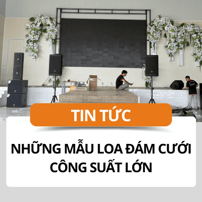 Những mẫu loa đám cưới công suất lớn