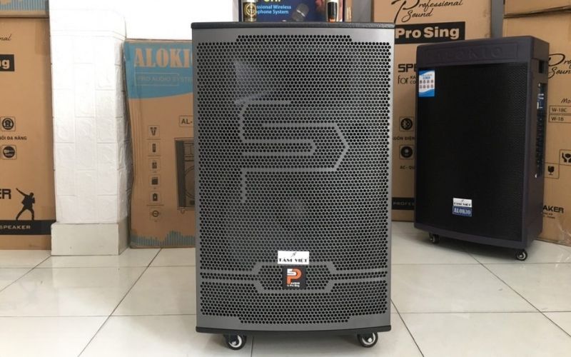 dan karaoke duoi 10 trieu co nen dau tu hay khong (3)