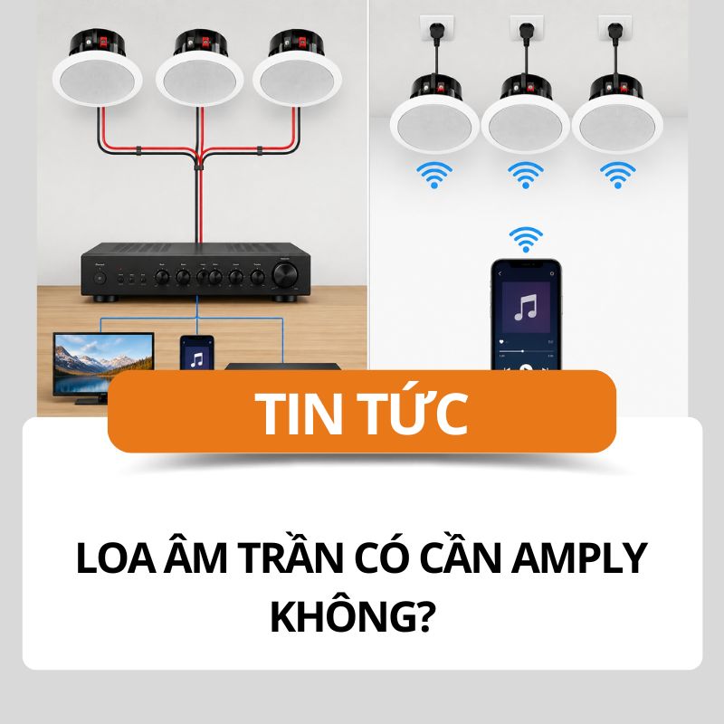 loa-am-tran-co-can-amply-khong-phan-biet-loa-can-amply-va-khong-can-amply