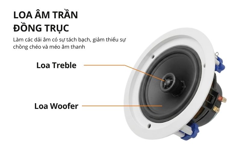 loa am tran dong truc va loa am tran toan dai khac nhau nhu nao (3)