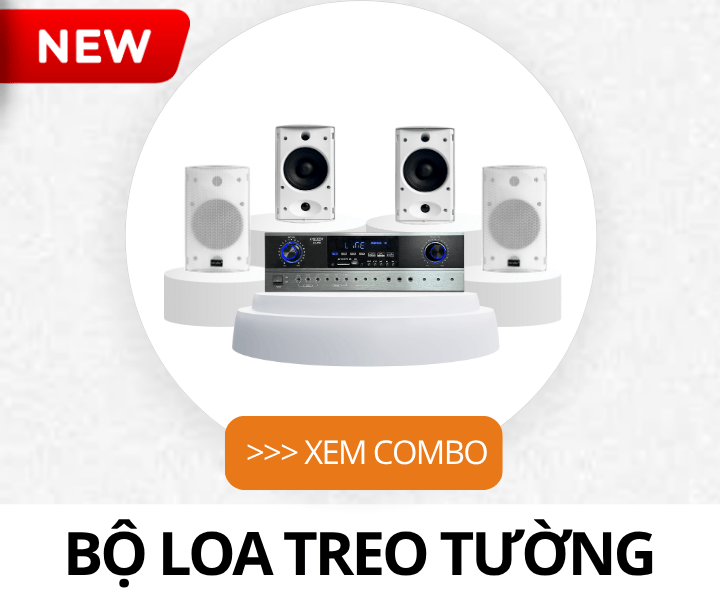 Bộ Loa Treo Tường