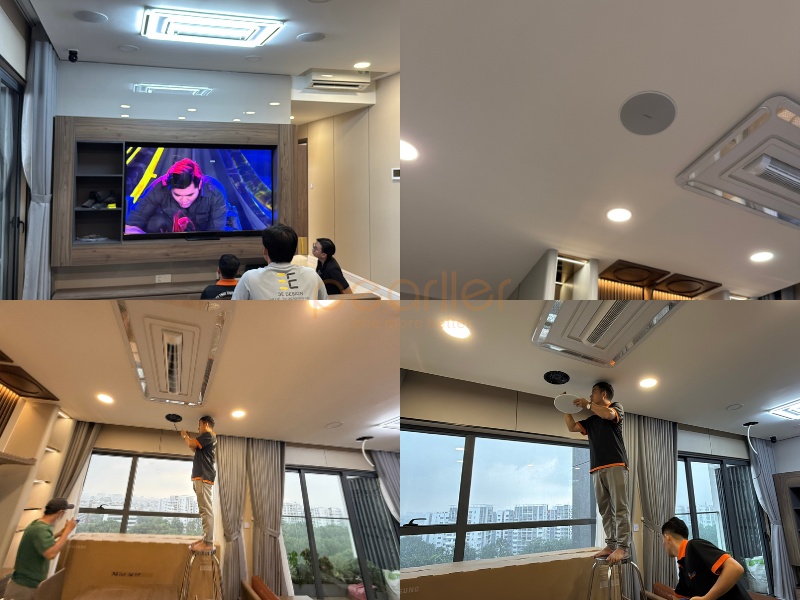 loa am tran bose designmax