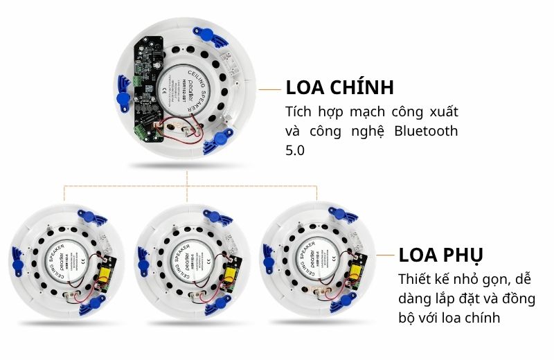 loa am tran pearller hsr182 6bt 6