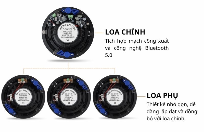 loa am tran pearller hsr186 6bt 6