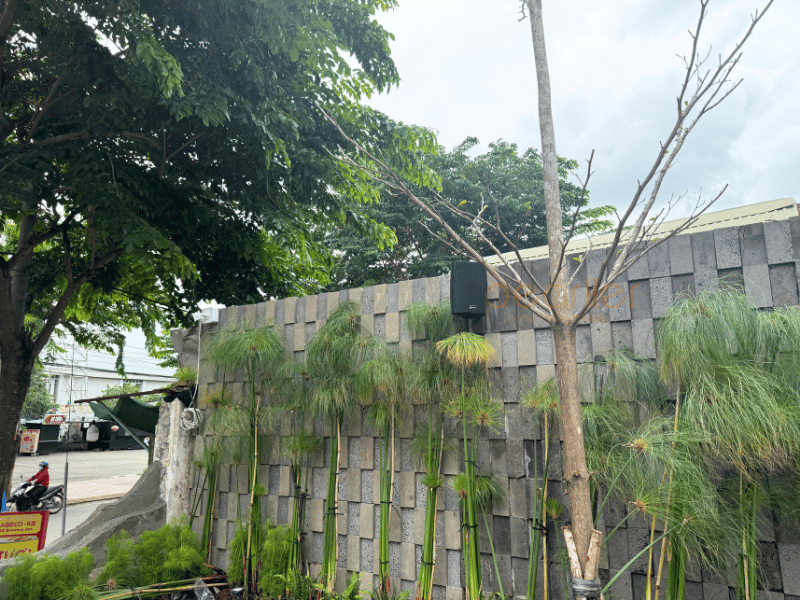 10loa treo tuong pearller hyb125 8t
