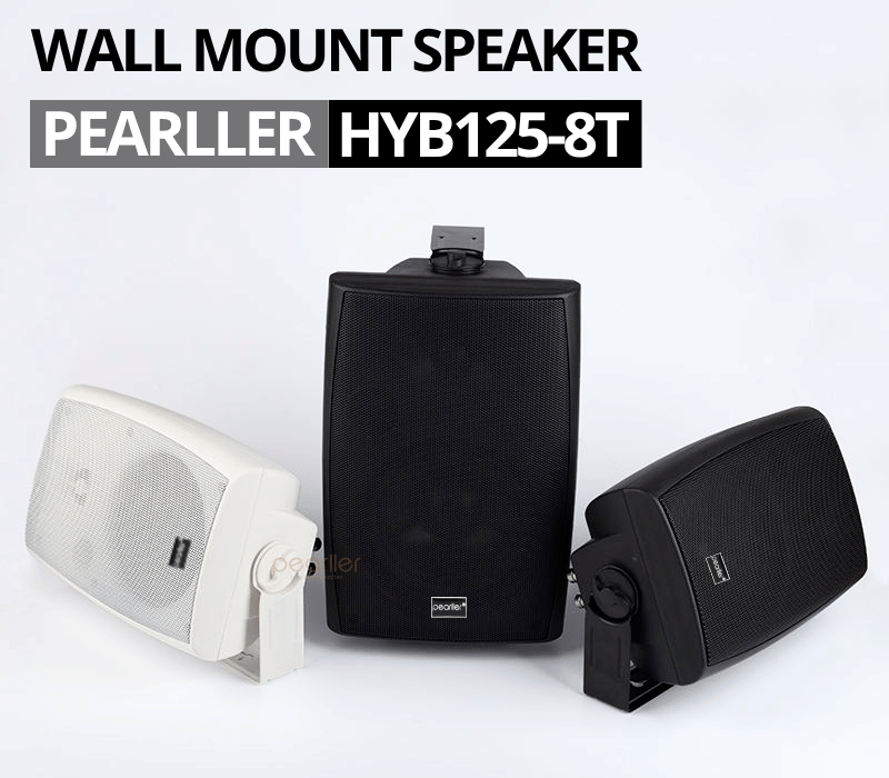 4loa treo tuong pearller hyb125 8t