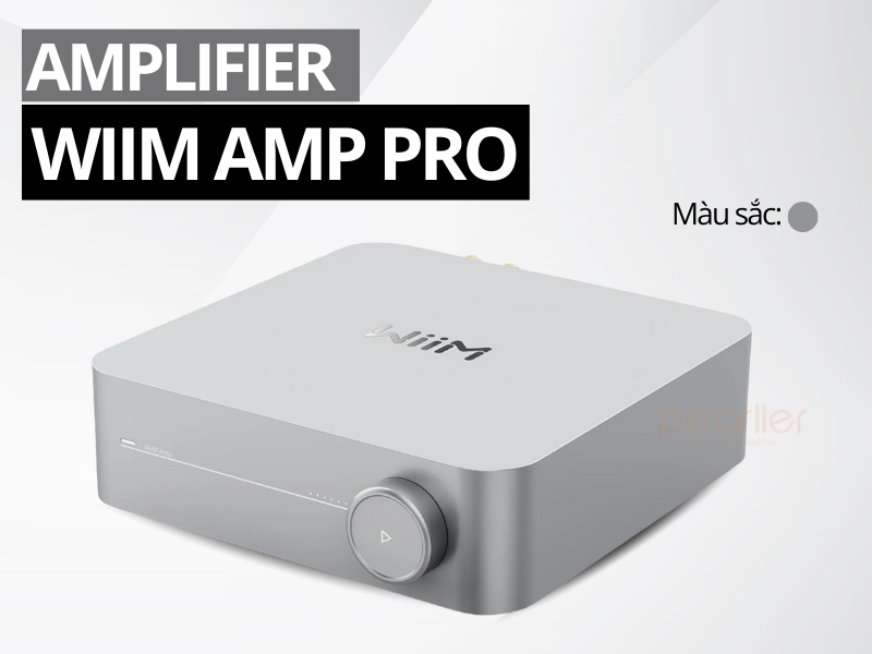 amply wiim amp pro