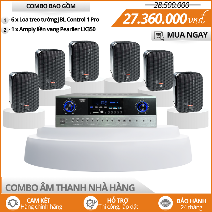 bo loa treo tuong mini cho nha hang