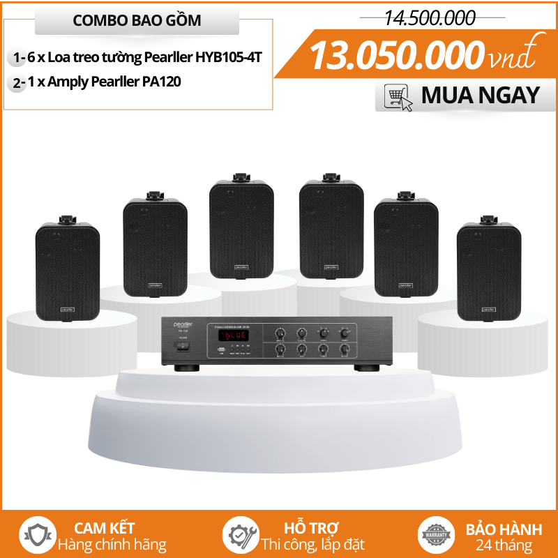 dan loa treo tuong gia re 1