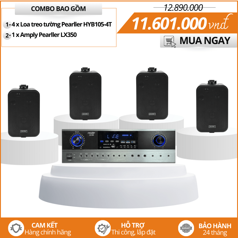 mau loa treo tuong mini