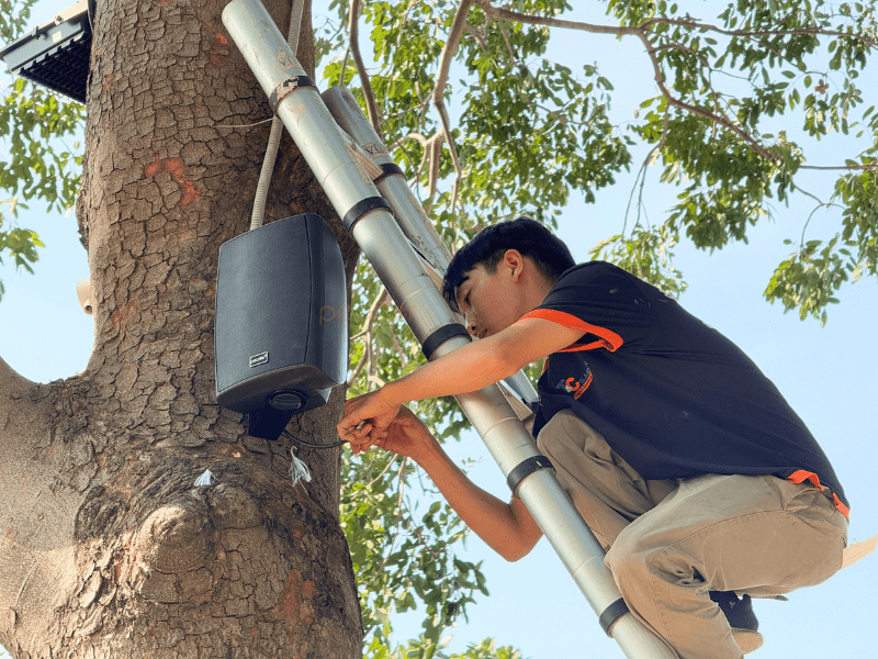 dan loa cao cap pearller hyb125 6t