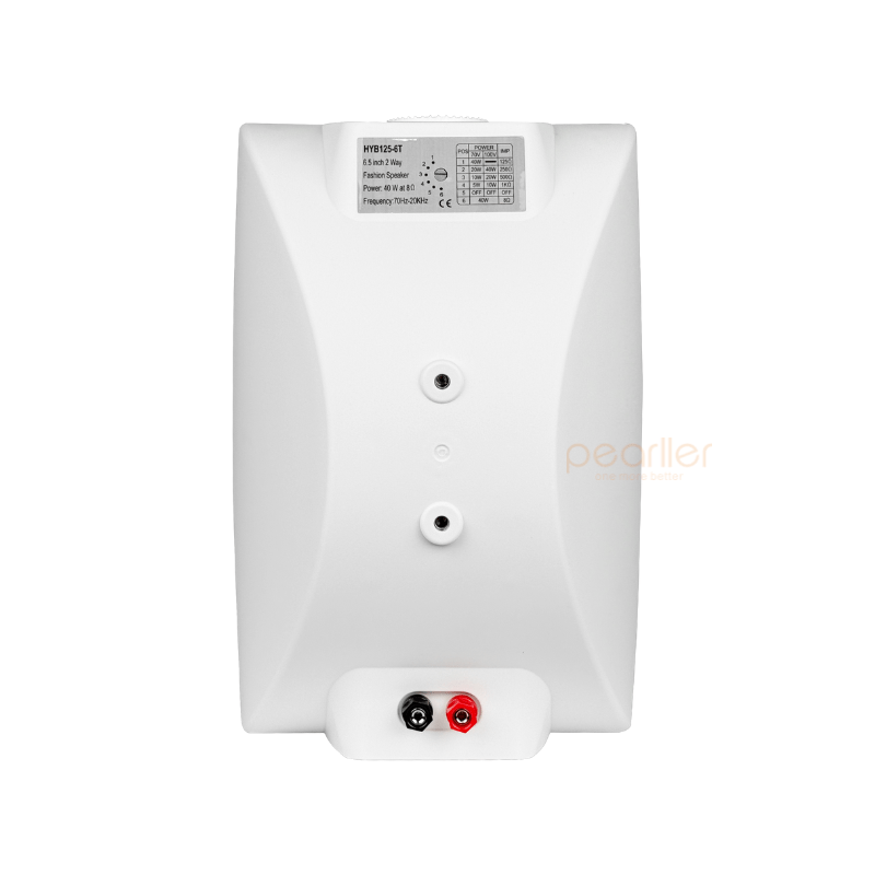 Pearller HYB125-6TW - Loa Nghe Nhạc Cao Cấp 40W