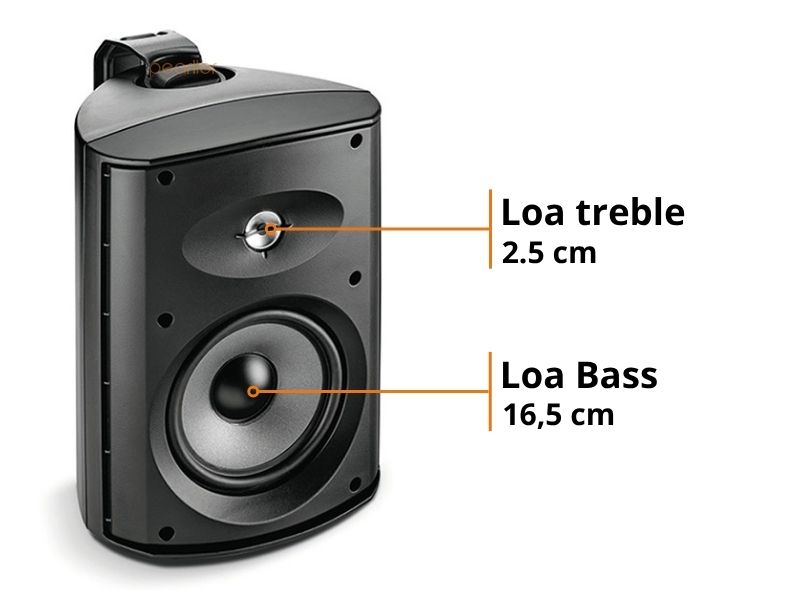 loa focal 100 od6 t