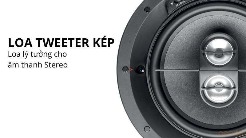 loa focal 100 ic6st