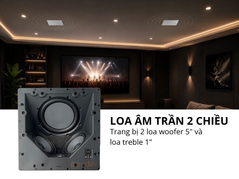 loa focal 100 iclcr5