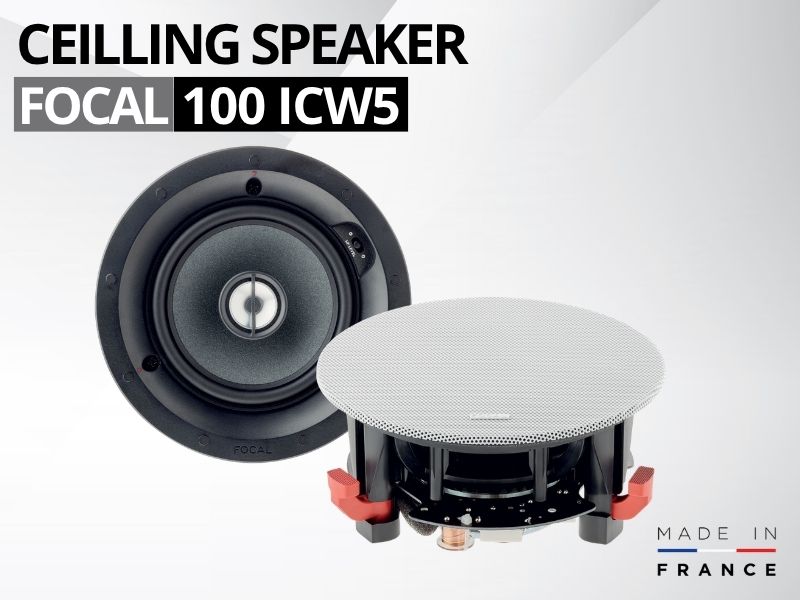 loa am tran focal 100 icw5